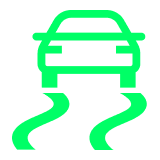 Ford Stability and Traction Control Indicator Light Symbol
