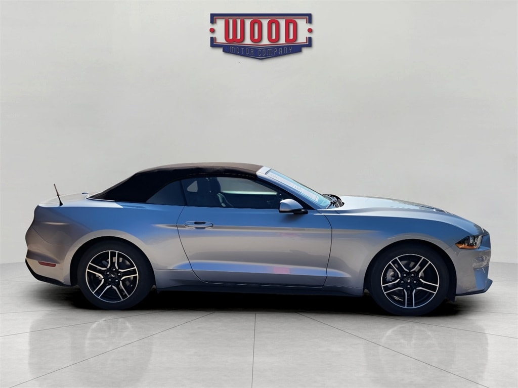 Used 2023 Ford Mustang EcoBoost with VIN 1FATP8UH0P5105938 for sale in Harrison, AR