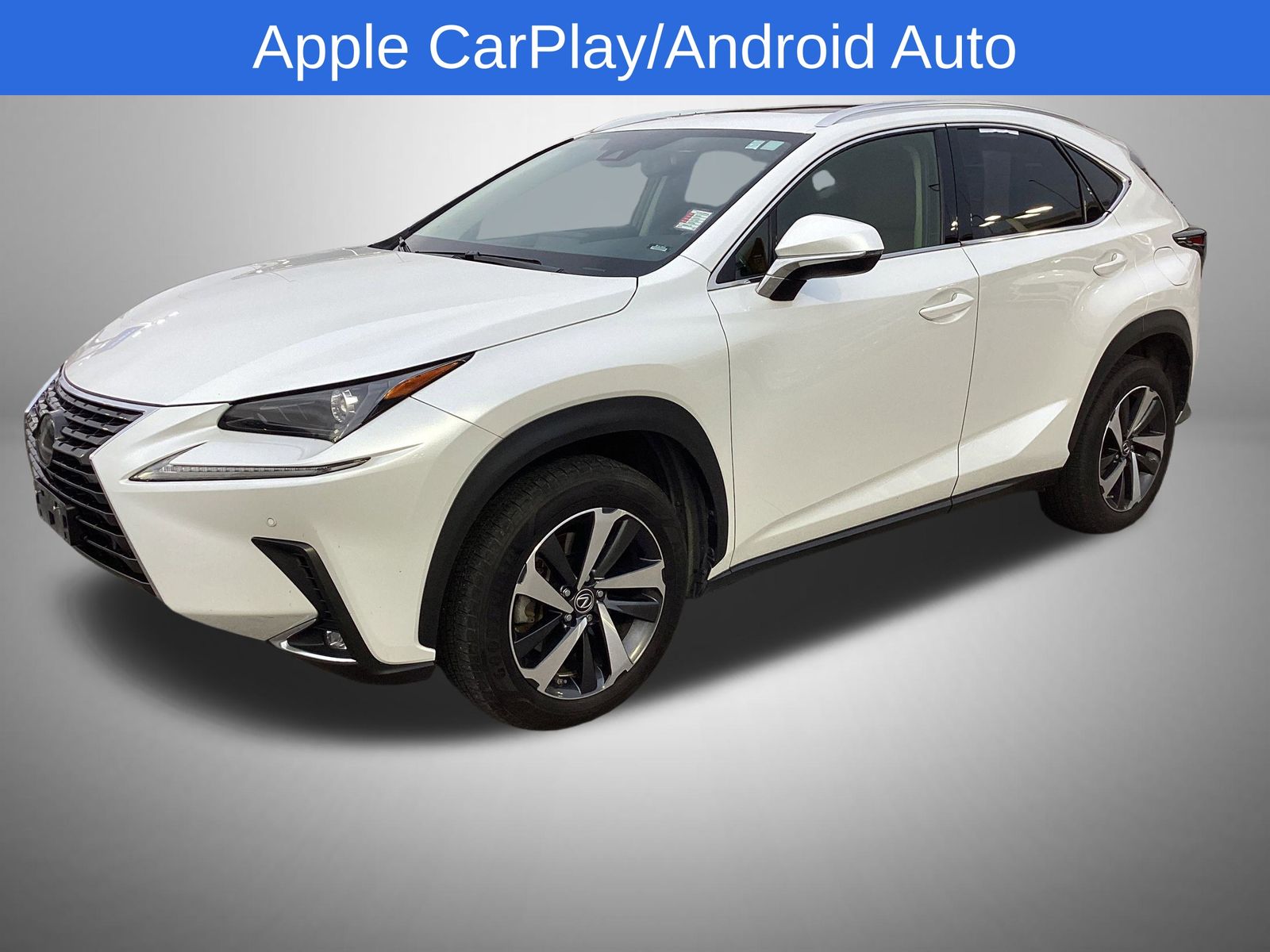 2020 Lexus NX 300's photo