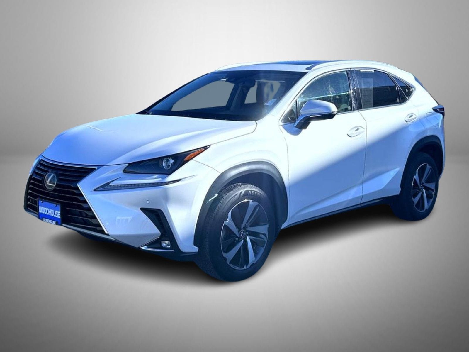 2020 Lexus NX 300's photo