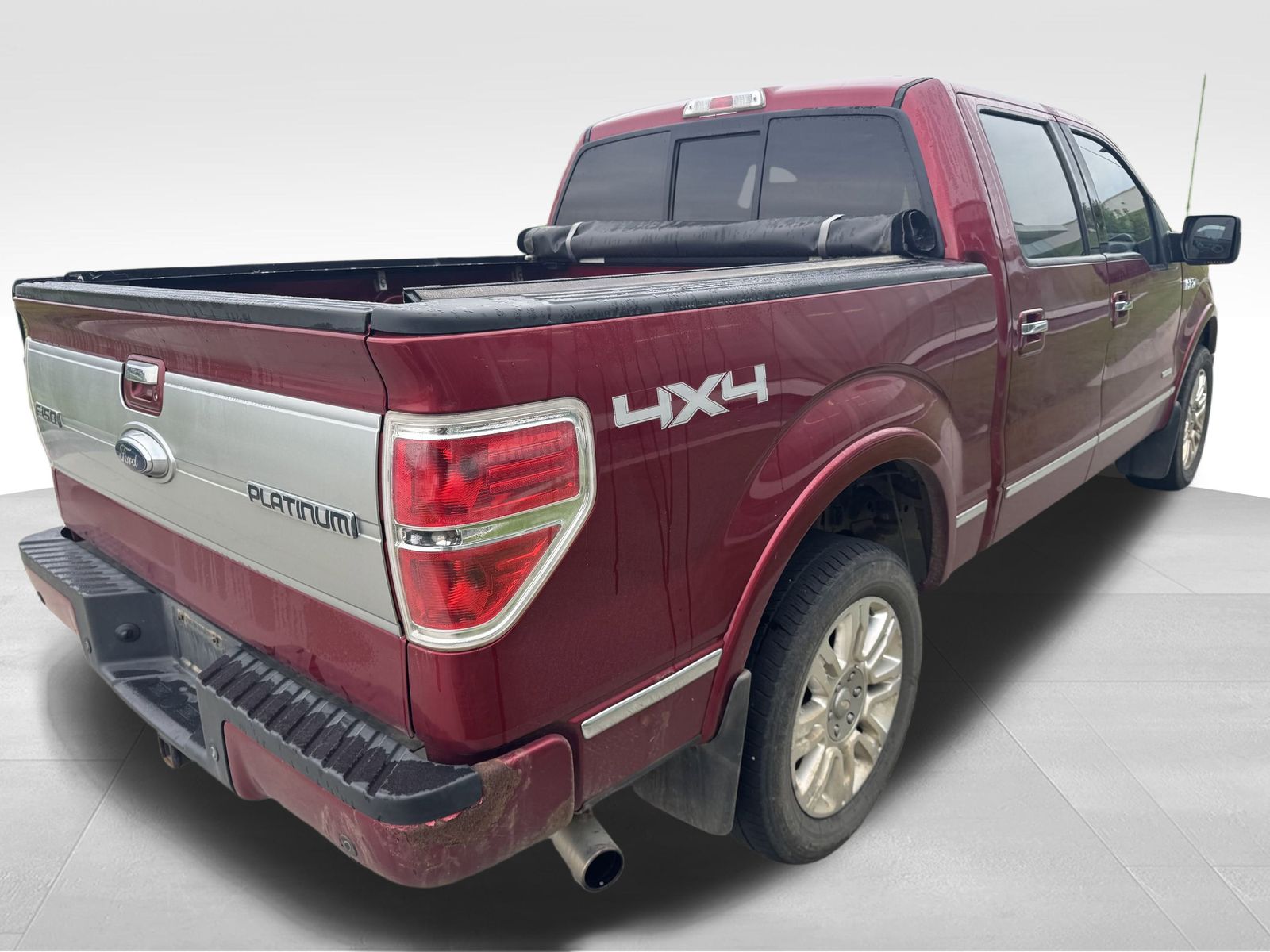 2013 Ford F-150 Platinum photo 4
