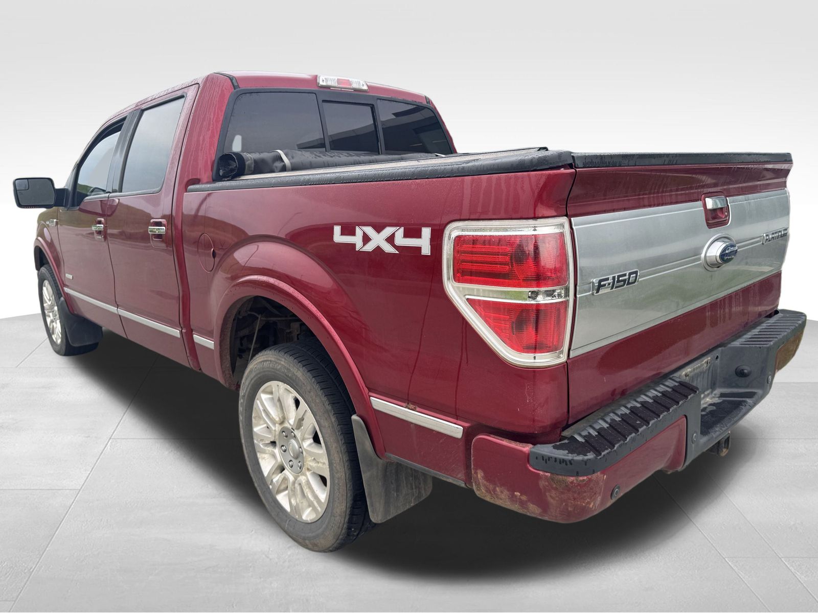 2013 Ford F-150 Platinum photo 3