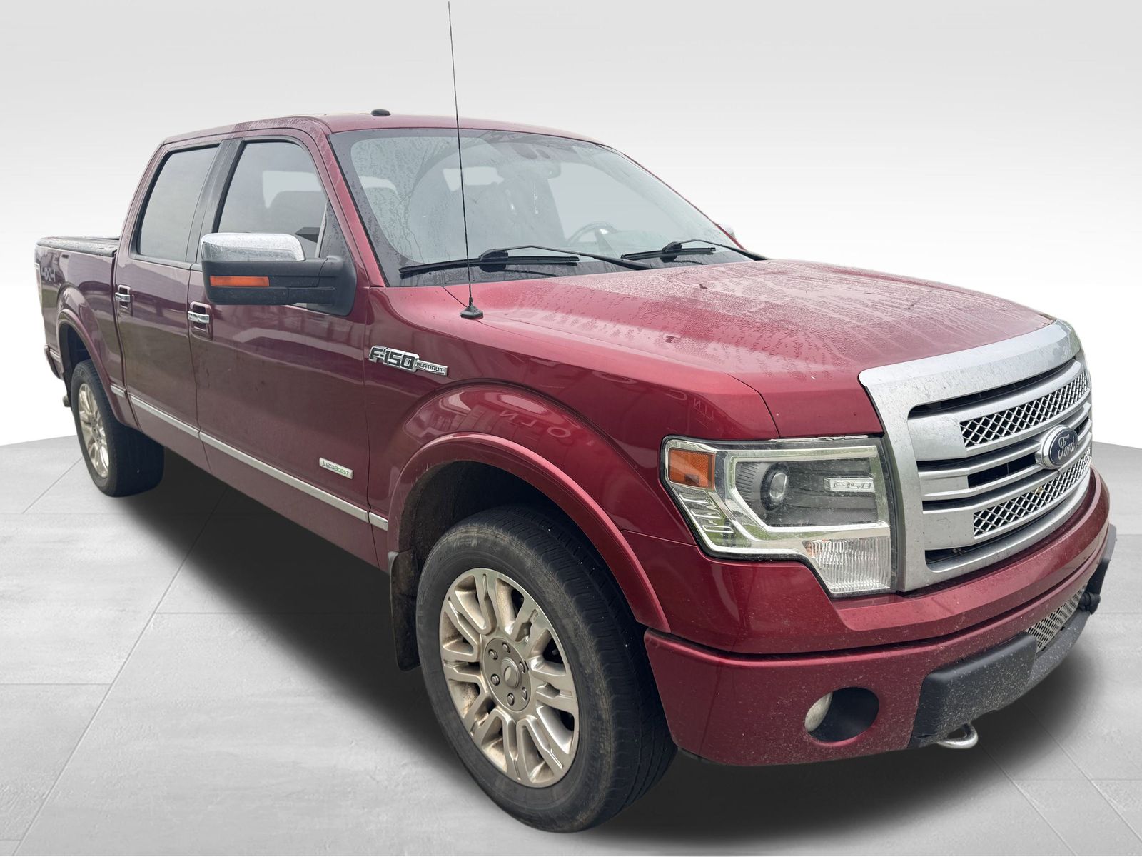 2013 Ford F-150 Platinum photo 2