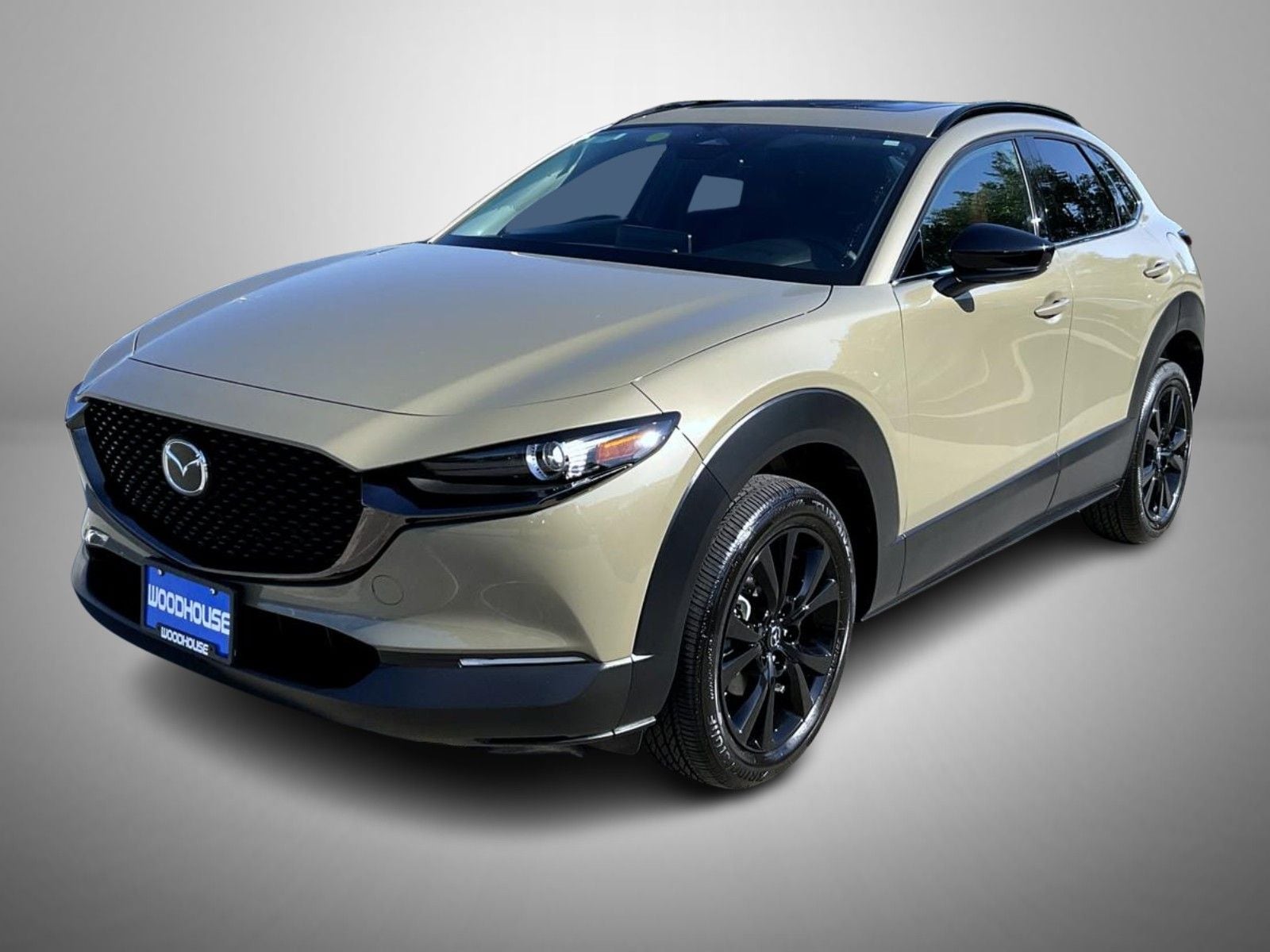 2025 Mazda CX-30 Carbon Turbo's photo
