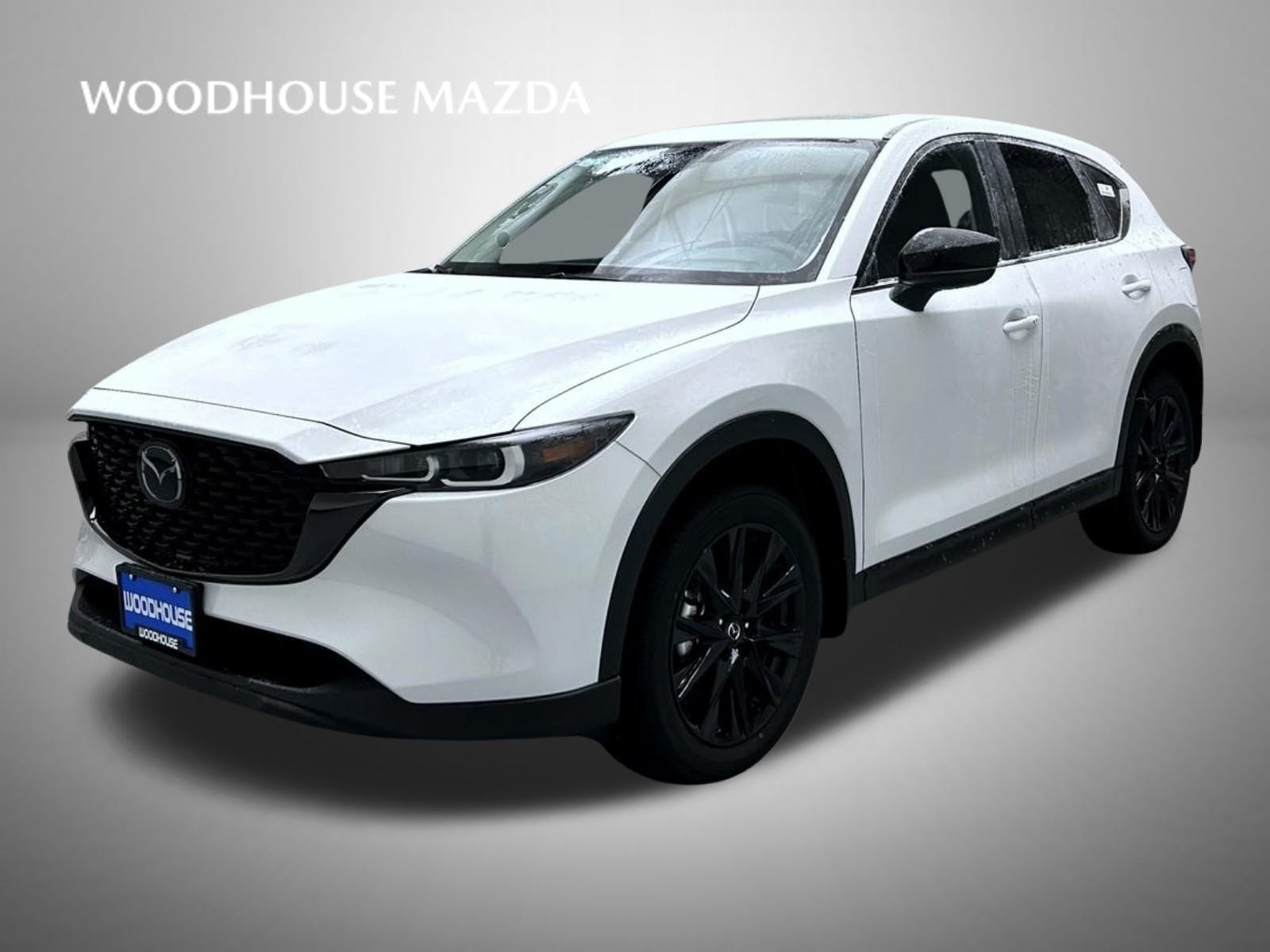 2025 Mazda CX-5 S Carbon Edition's photo