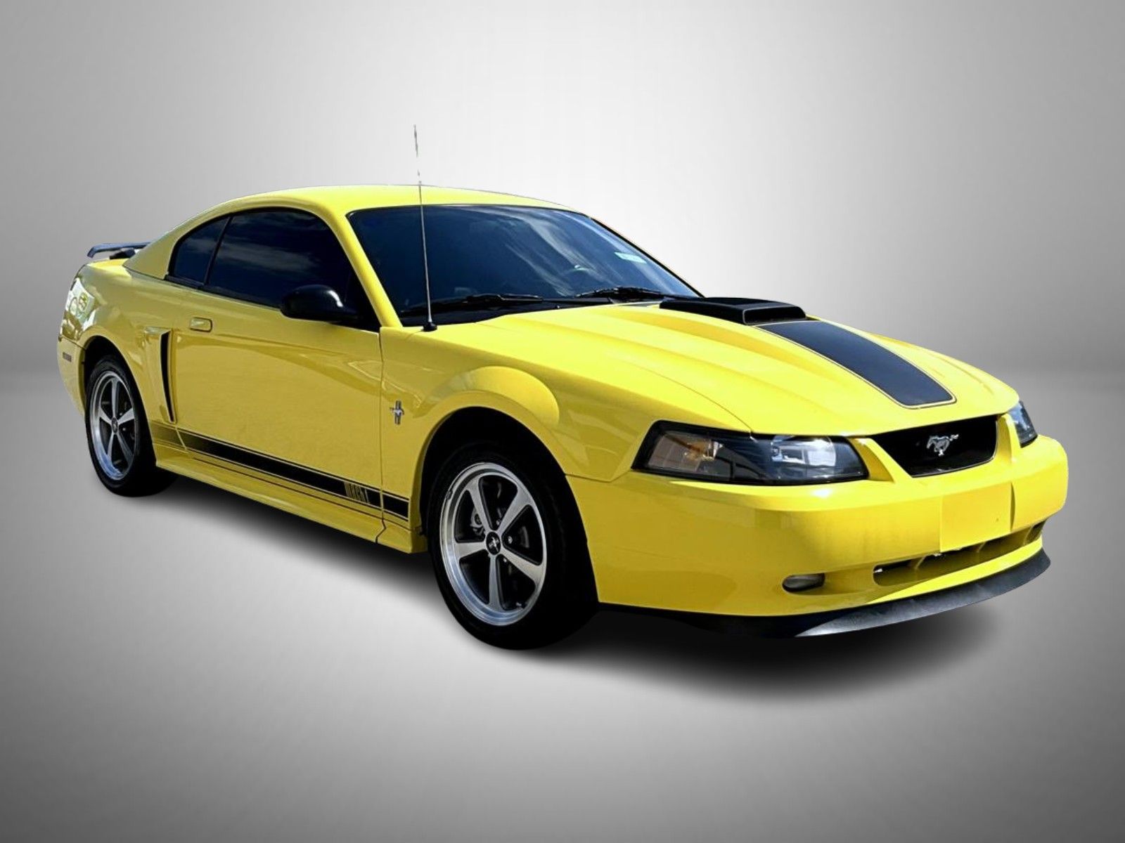 2003 Ford Mustang Mach 1 photo 3