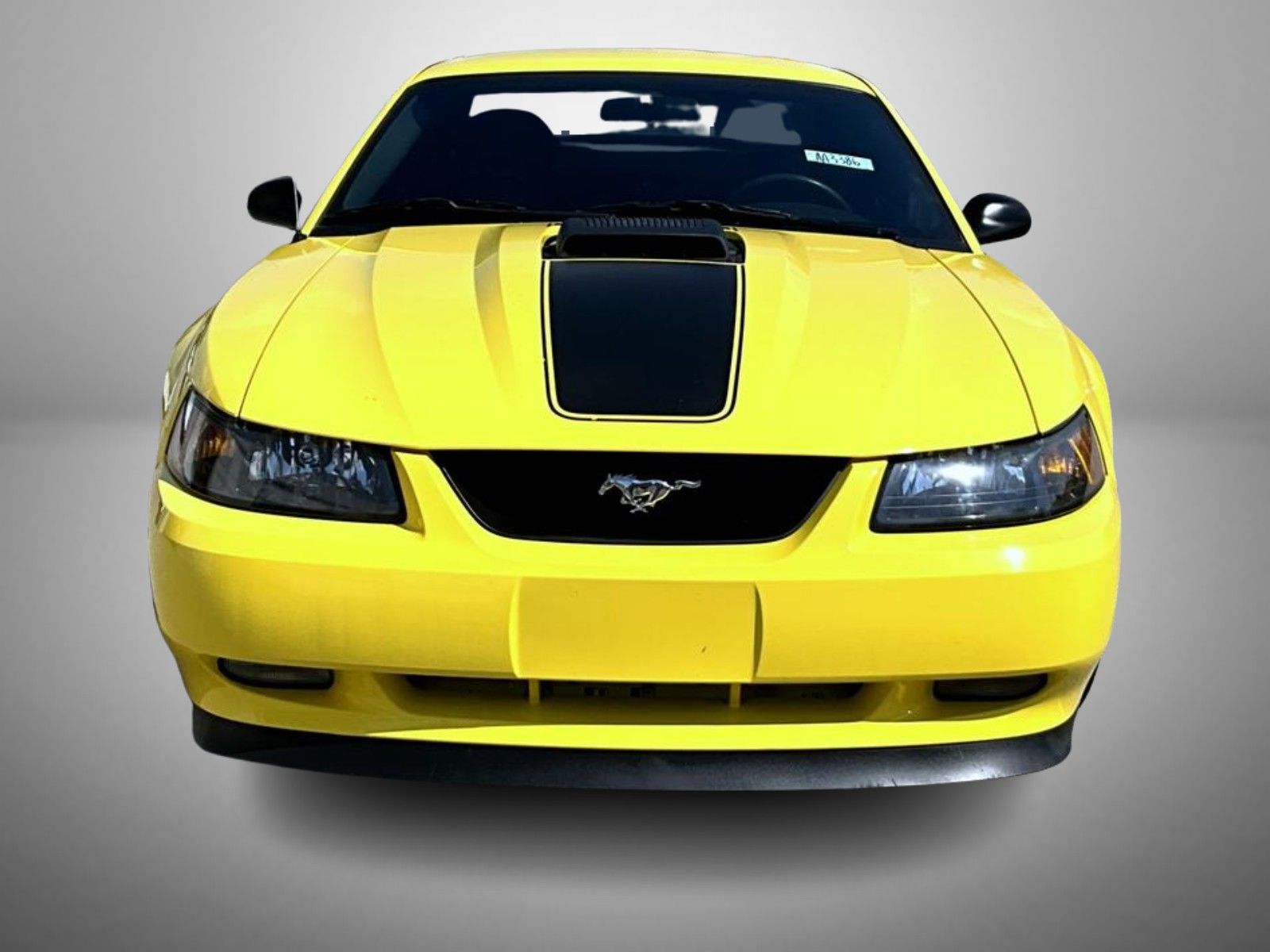 2003 Ford Mustang Mach 1 photo 2