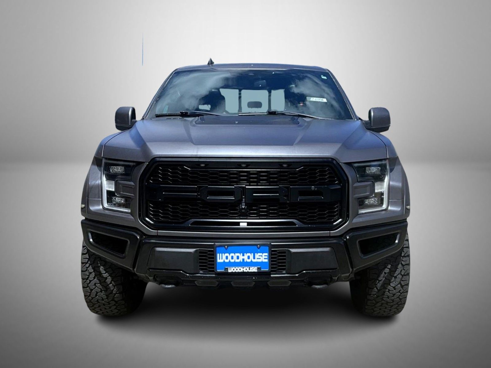 2019 Ford F-150 Raptor photo 2