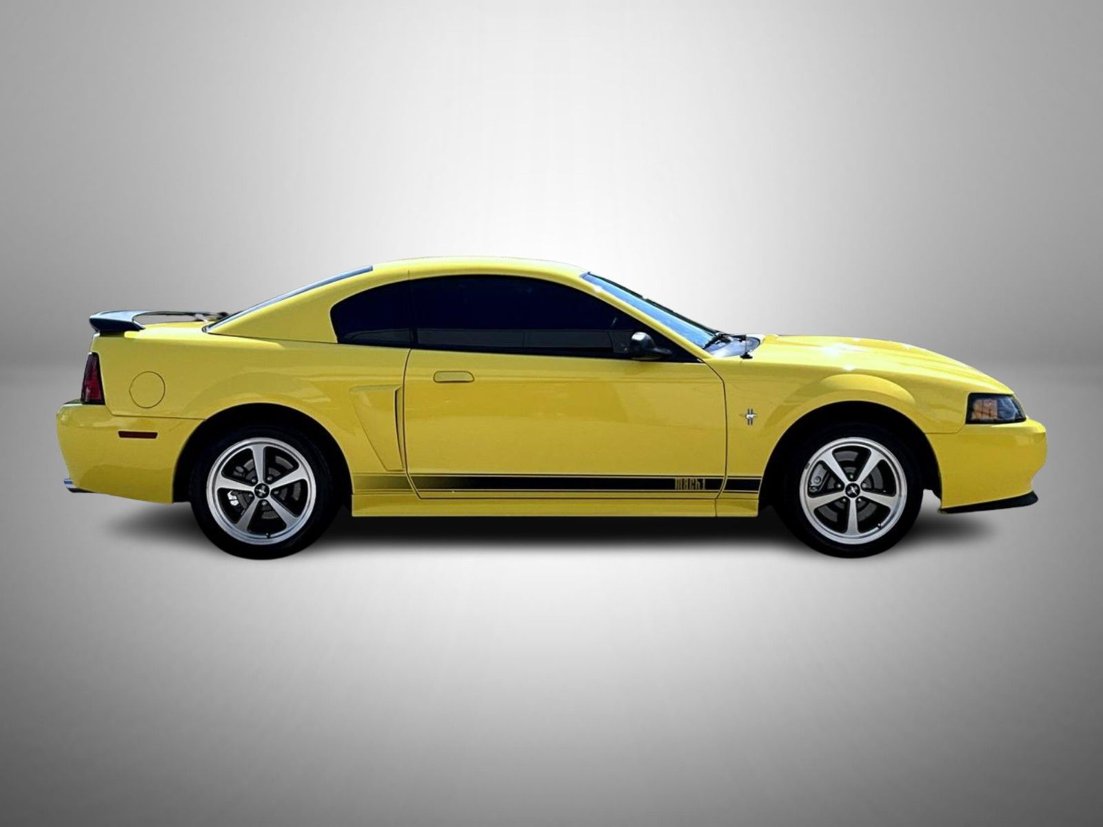 2003 Ford Mustang Mach 1 photo 4