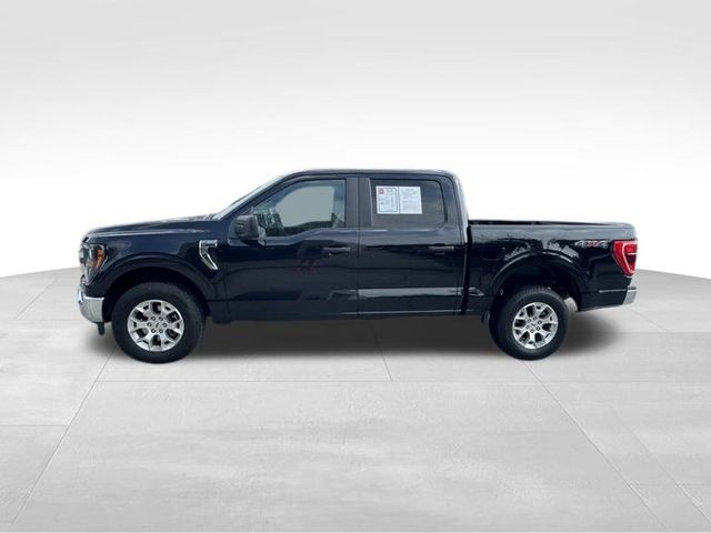 2023 Ford F-150 XLT photo 4