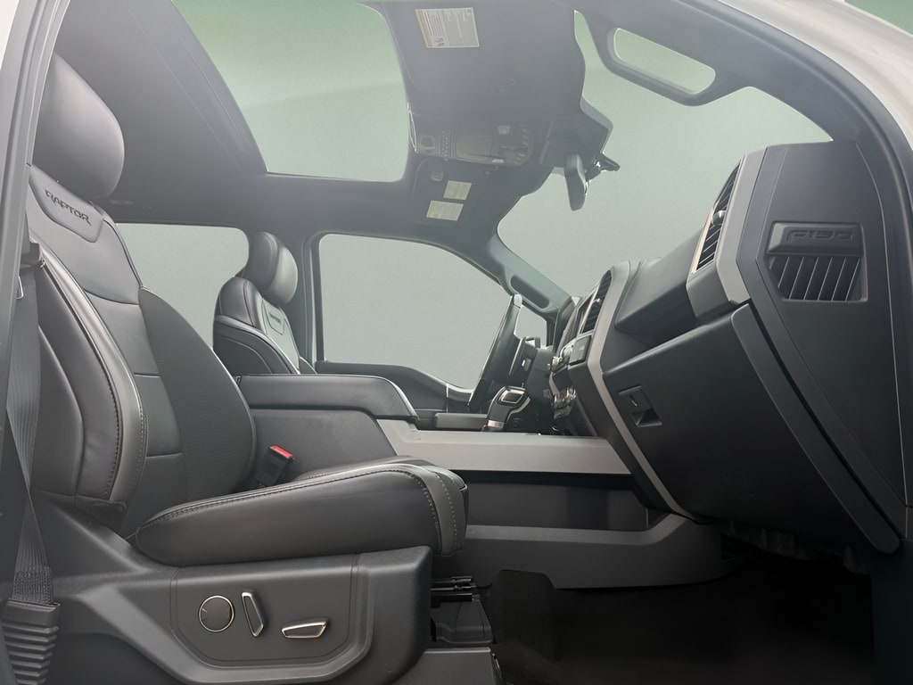 2019 Ford F-150 Raptor - Photo 15