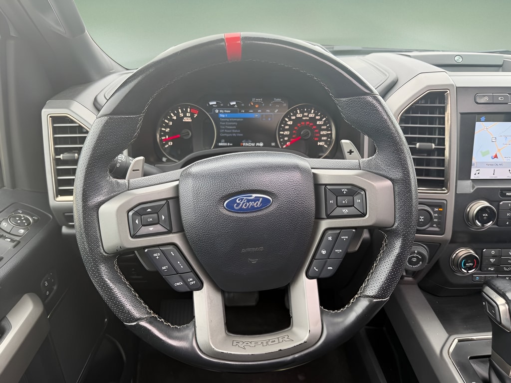 2019 Ford F-150 Raptor - Photo 19