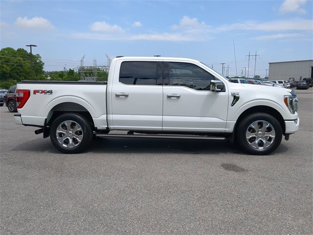2021 Ford F-150 Platinum photo 3