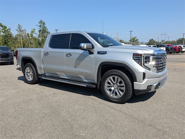 2022 Gmc Sierra 1500 Denali photo 2