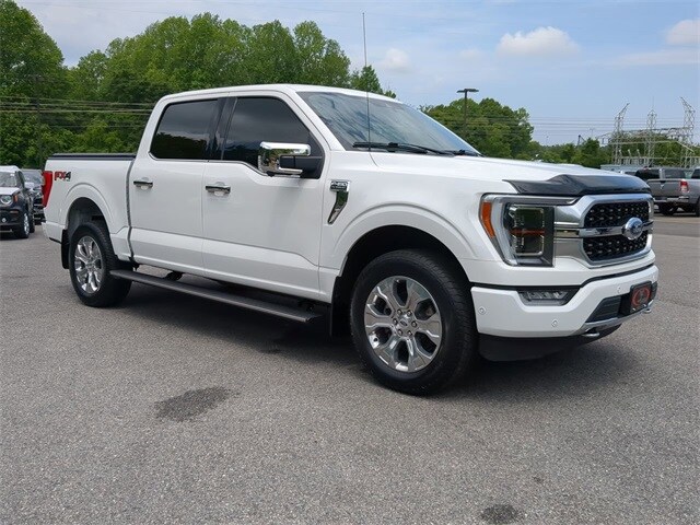 2021 Ford F-150 Platinum photo 2
