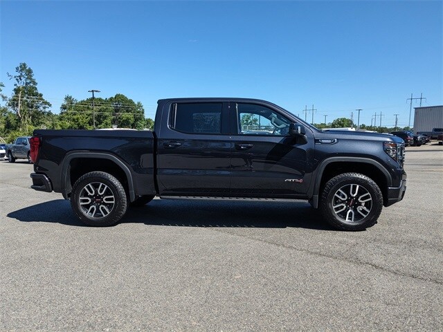 2023 Gmc Sierra 1500 AT4 photo 2