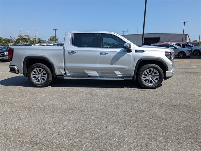 2022 Gmc Sierra 1500 Denali photo 3