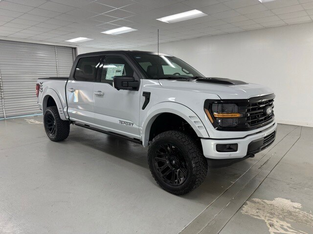 2025 Ford F-150 XLT photo 3