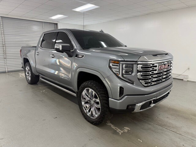 2023 Gmc Sierra 1500 Denali photo 3