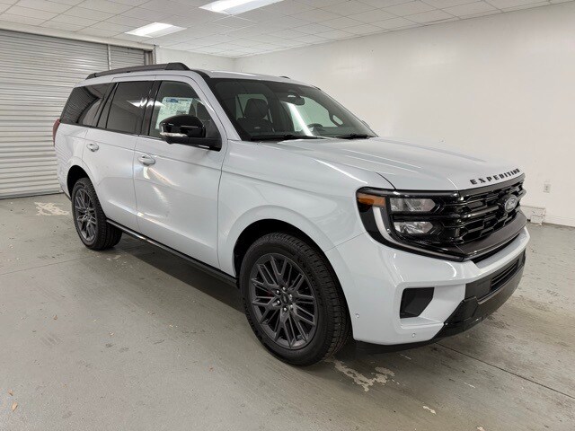 2025 Ford Expedition Platinum photo 3