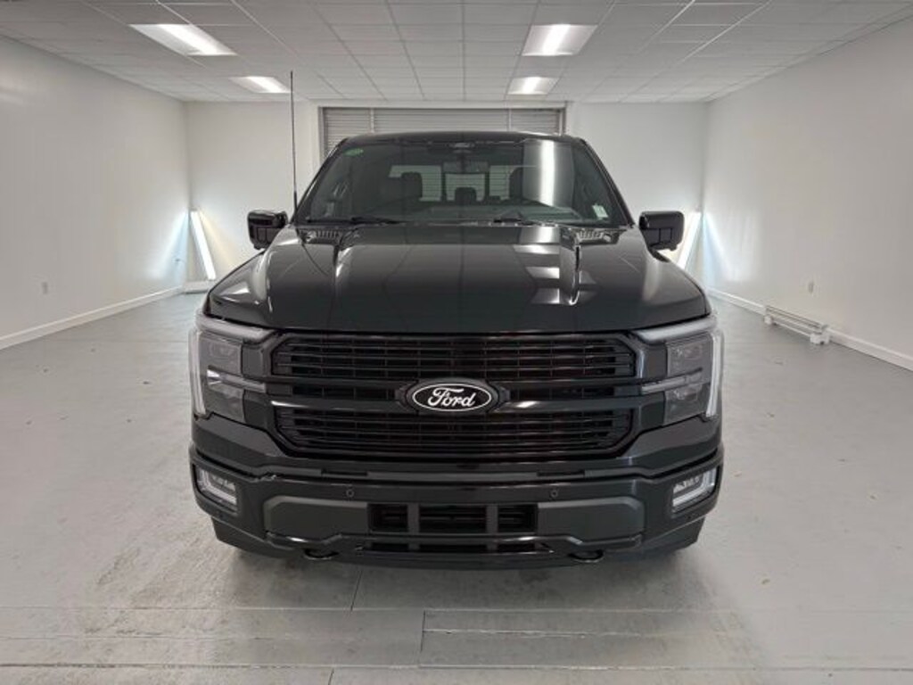 New 2025 Ford F-150 Platinum Truck