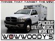 Dodge Ram 4500