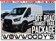 Ford Transit Trail