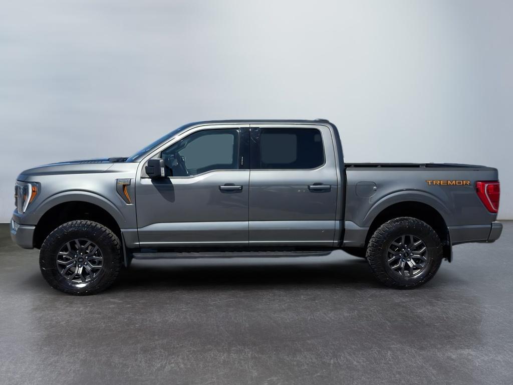 2023 Ford F-150 Tremor photo 2