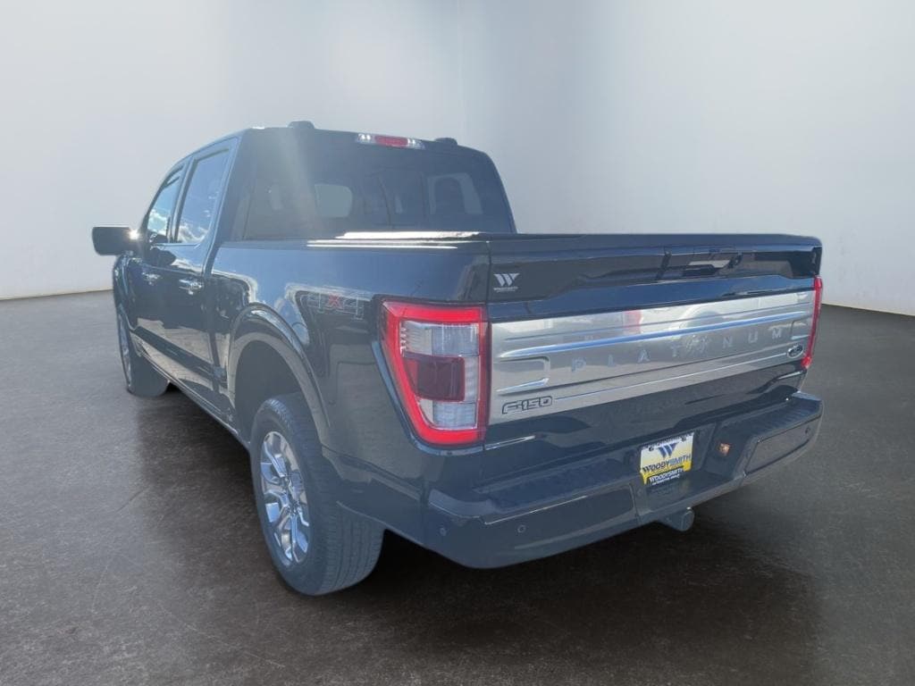 2023 Ford F-150 Platinum photo 4