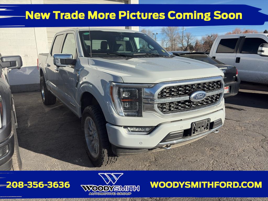 2023 Ford F-150 Platinum's photo