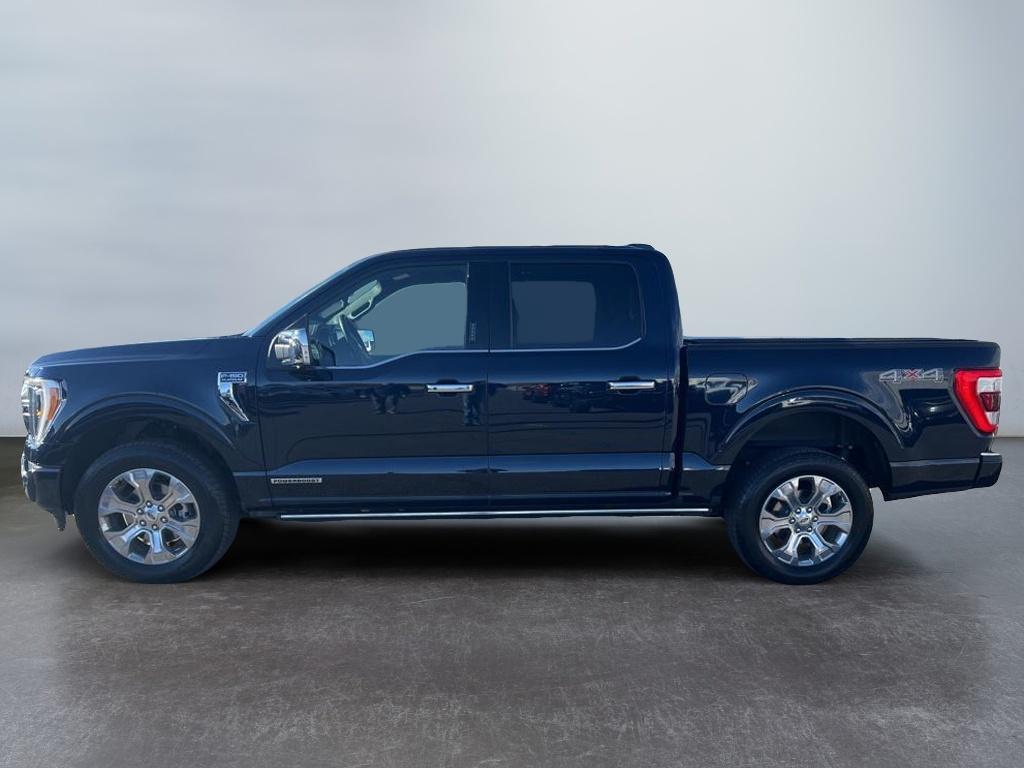 2023 Ford F-150 Platinum photo 3