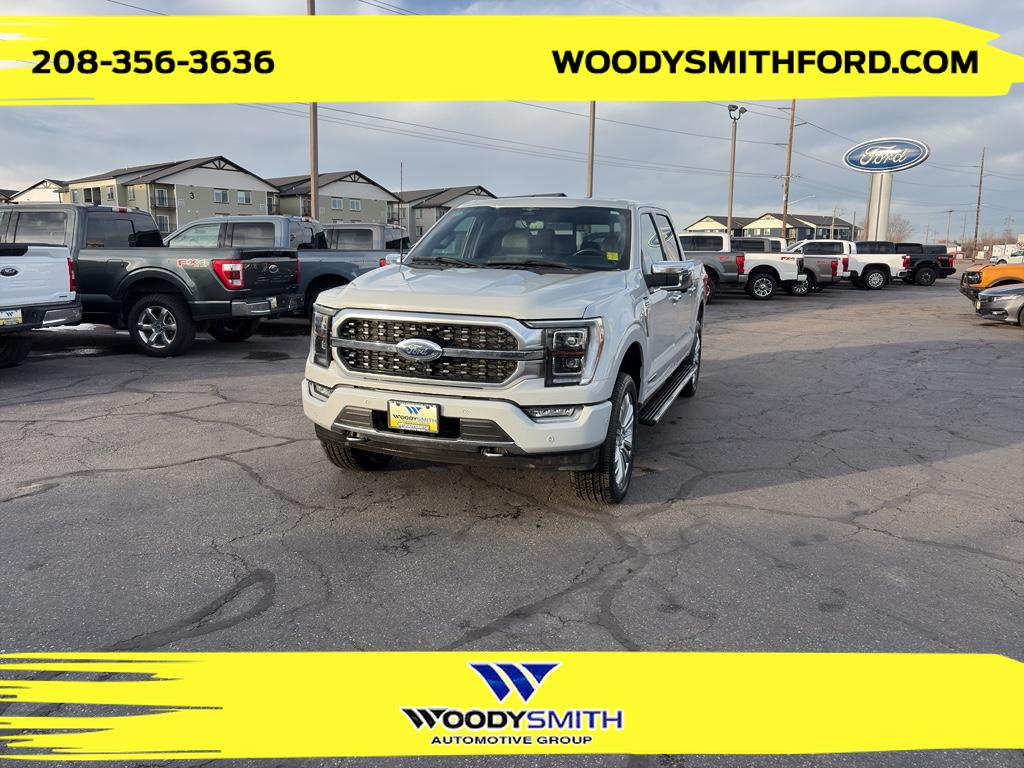 2023 Ford F-150 Platinum's photo