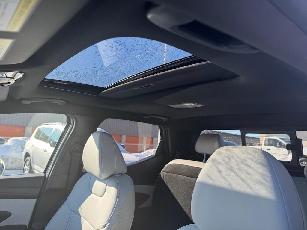 2025 Hyundai Santa Cruz SEL Activity - Photo 13