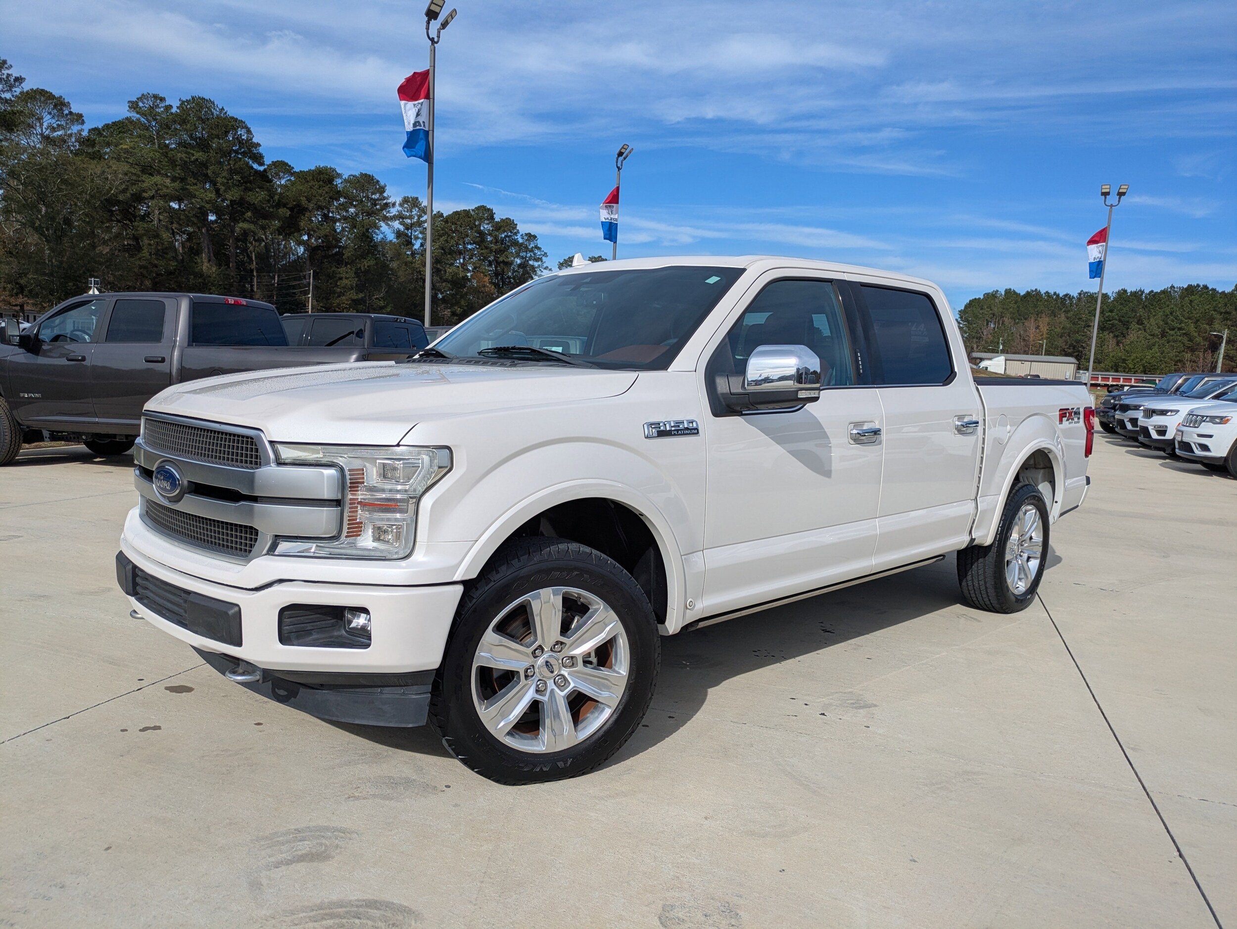 2018 Ford F-150 Platinum photo 4