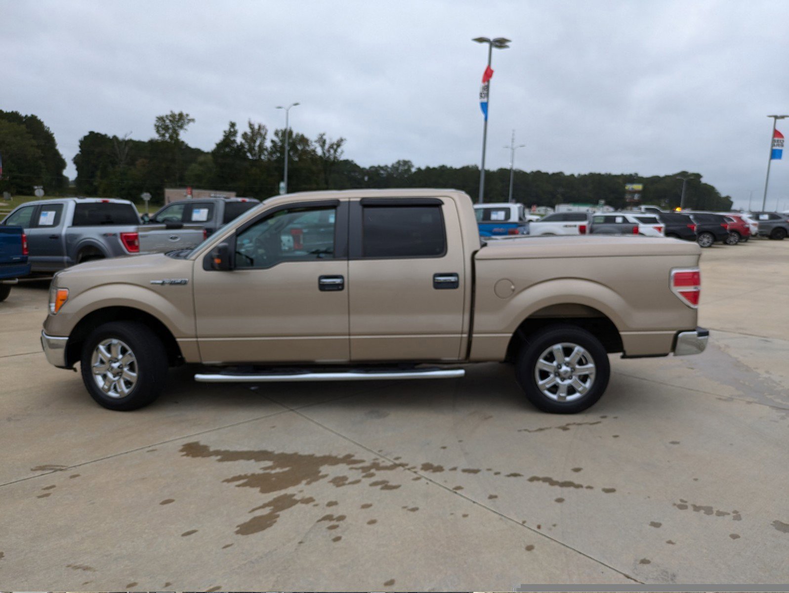 Used 2014 Ford F-150 XLT with VIN 1FTFW1CF4EFB14781 for sale in Collins, MS