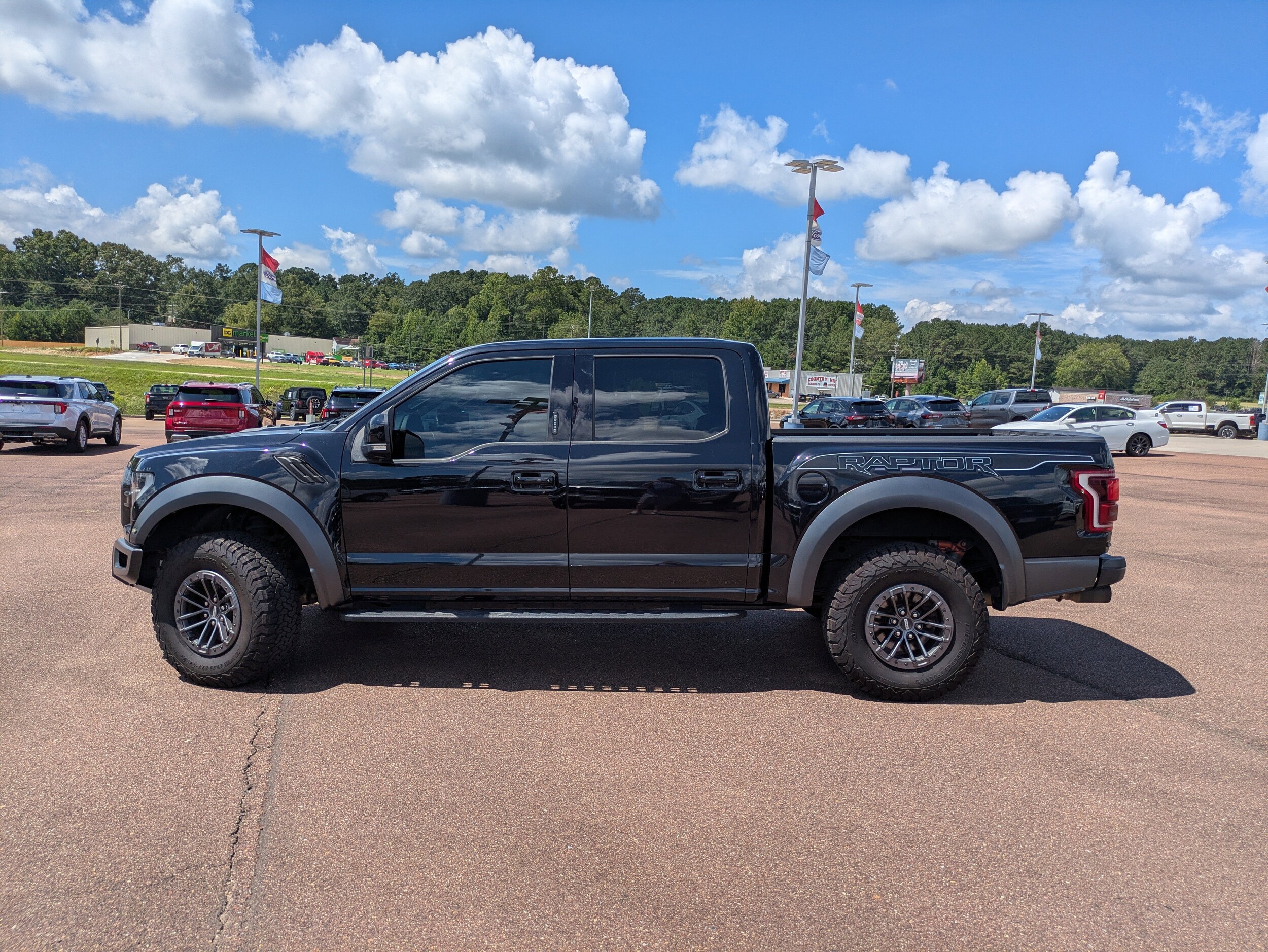 2019 Ford F-150 Raptor photo 2