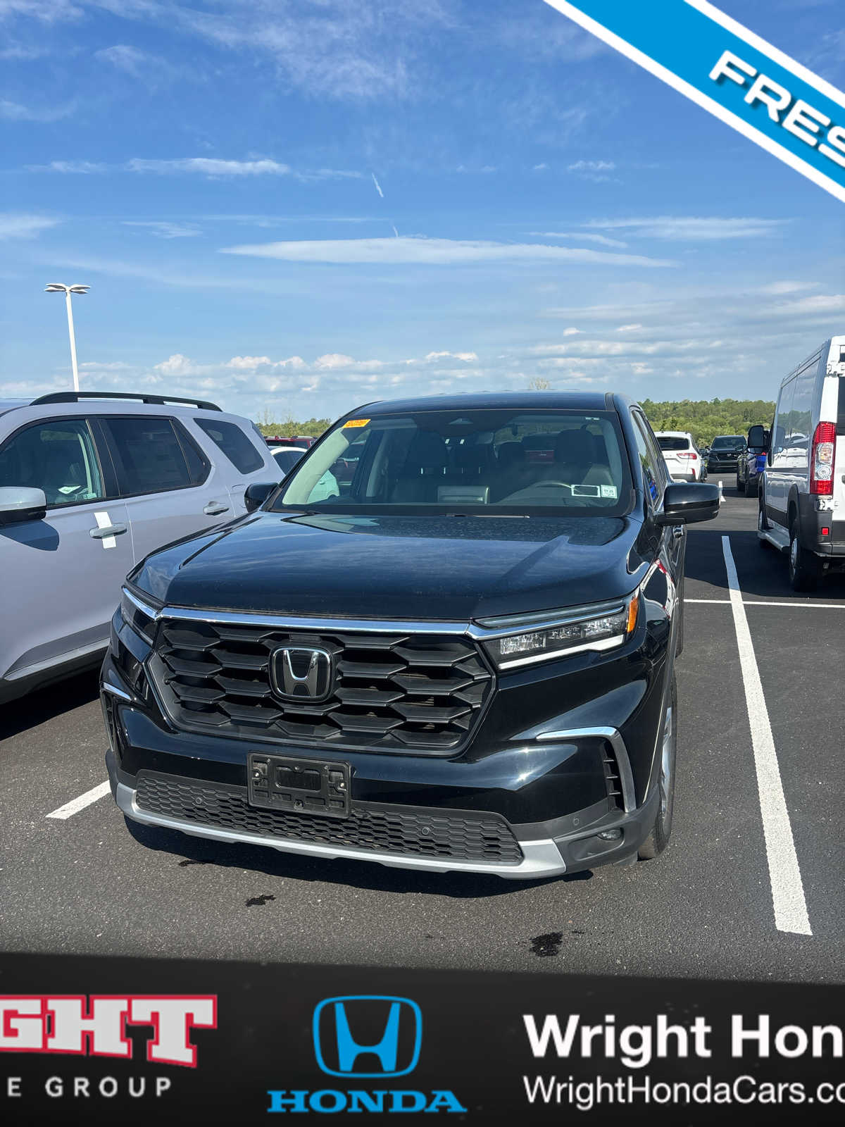 2023 Honda Pilot EX-L 8-Occupant AWD's photo