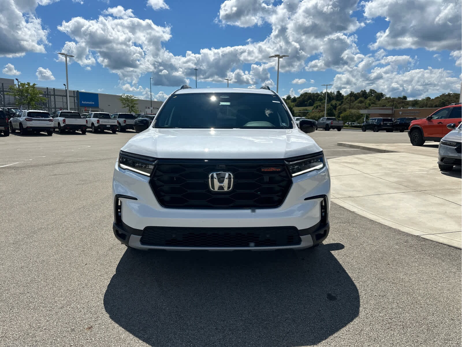 2025 Honda Pilot TrailSport photo 3