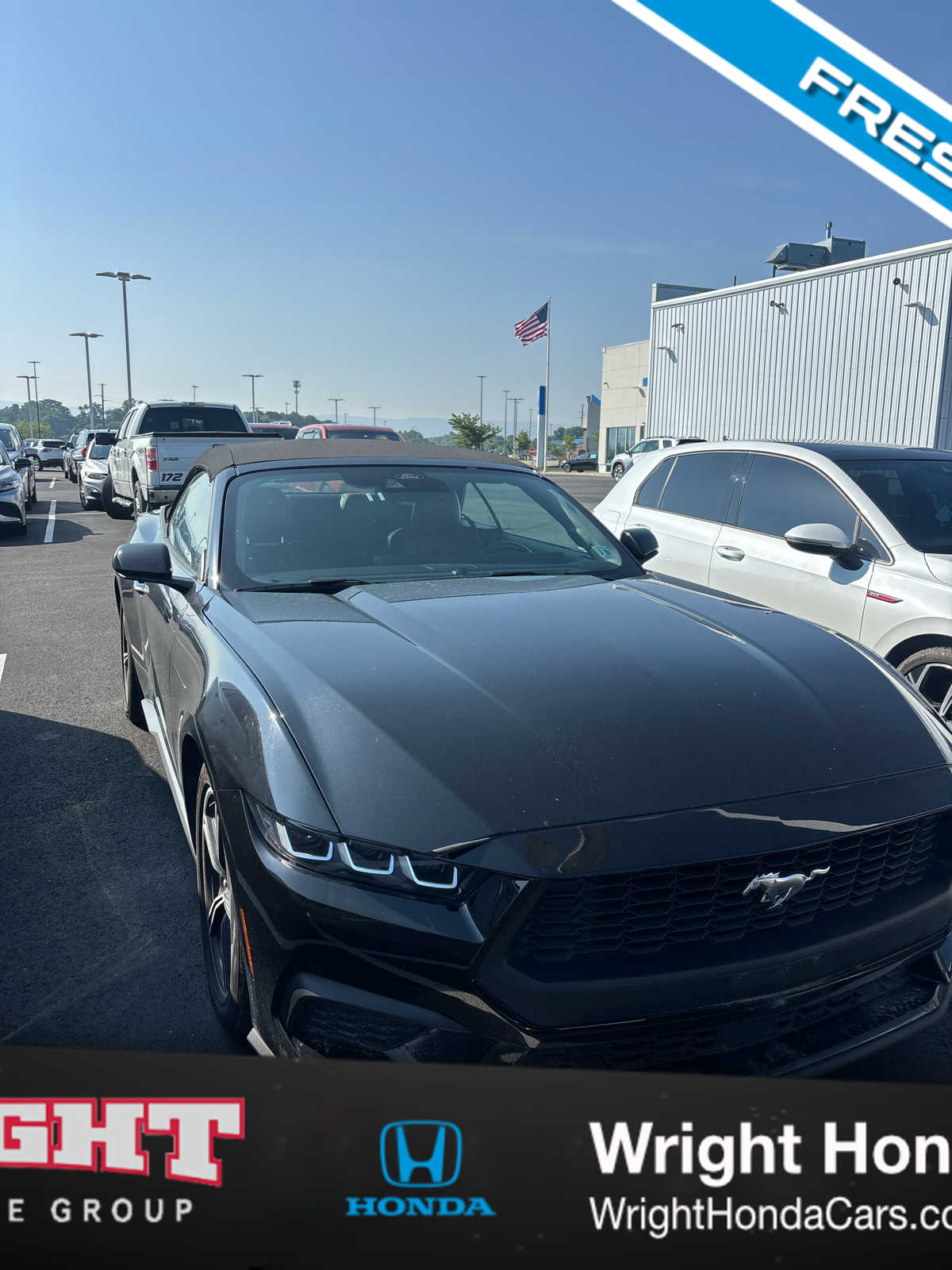 2024 Ford Mustang EcoBoost Premium Convertible's photo