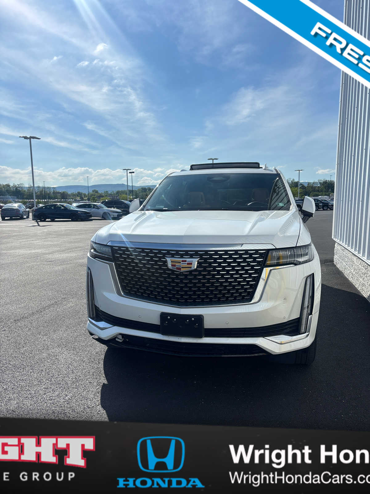 2023 Cadillac Escalade 4WD Premium Luxury's photo