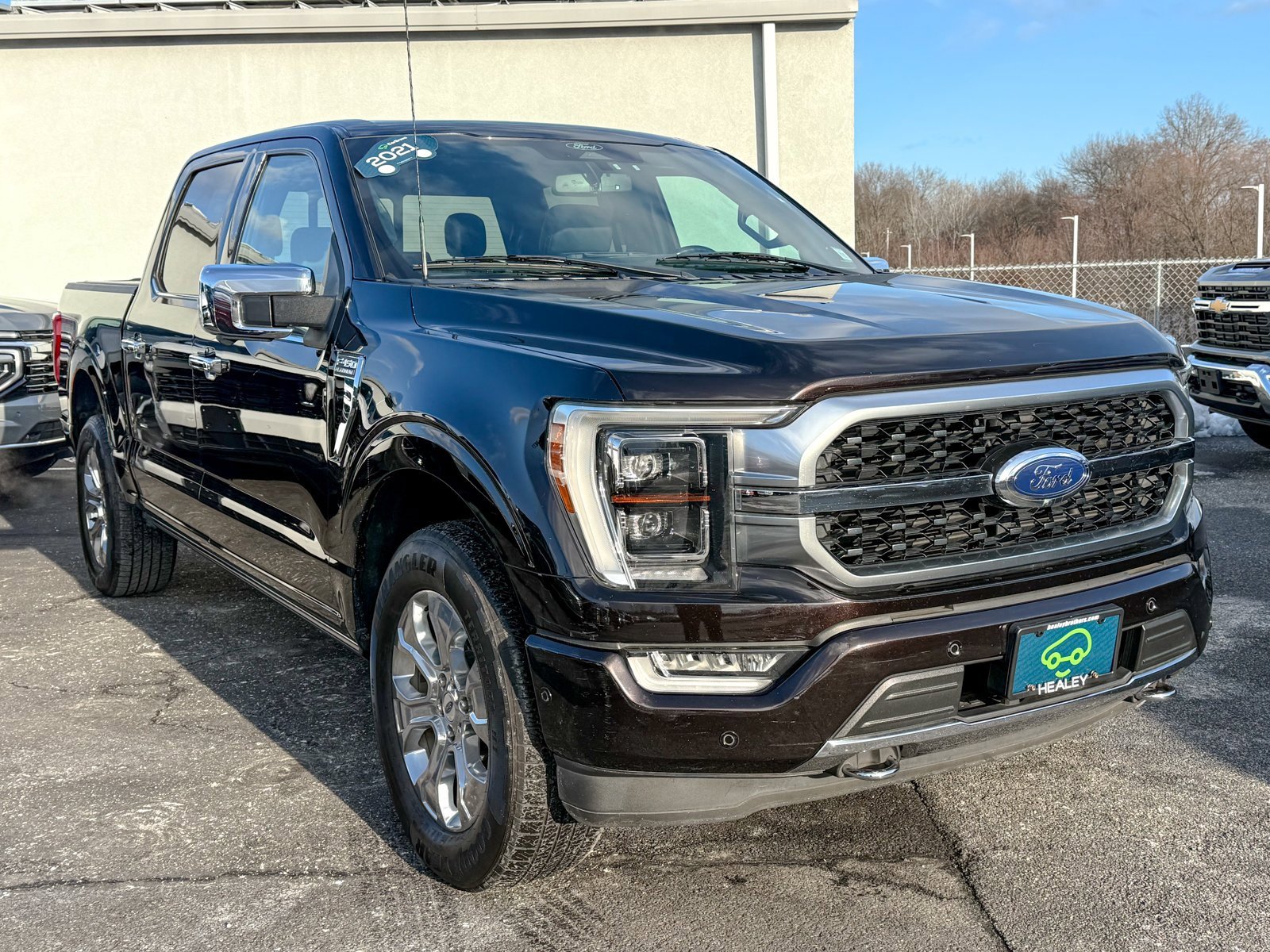 2021 Ford F-150 Platinum's photo