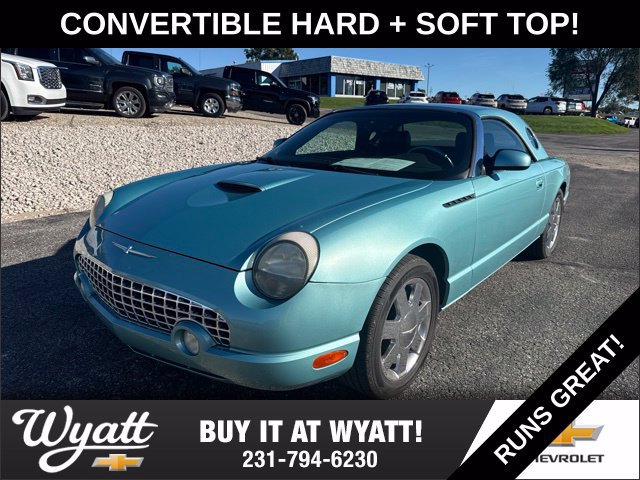 Used 2002 Ford Thunderbird Premium with VIN 1FAHP60A32Y104230 for sale in Manistee, MI