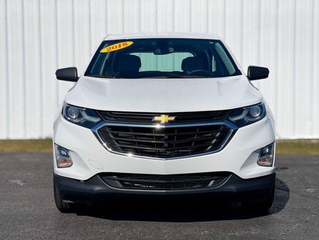 Used 2018 Chevrolet Equinox LS with VIN 2GNAXHEV4J6339234 for sale in Manistee, MI