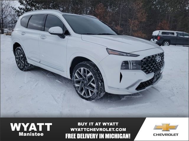 2023 Hyundai Santa Fe Calligraphy's photo