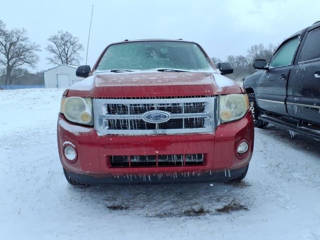 Used 2008 Ford Escape XLT with VIN 1FMCU031X8KC70287 for sale in Whitehall, MI