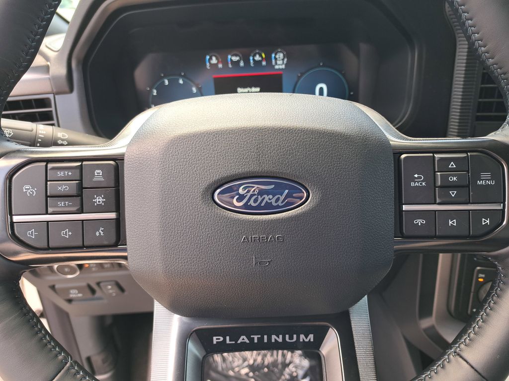 2025 Ford F-150 Platinum - Photo 9