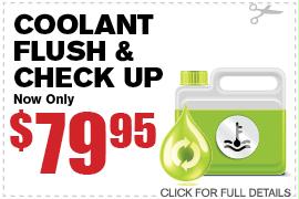 Coolant Flush & Check Up