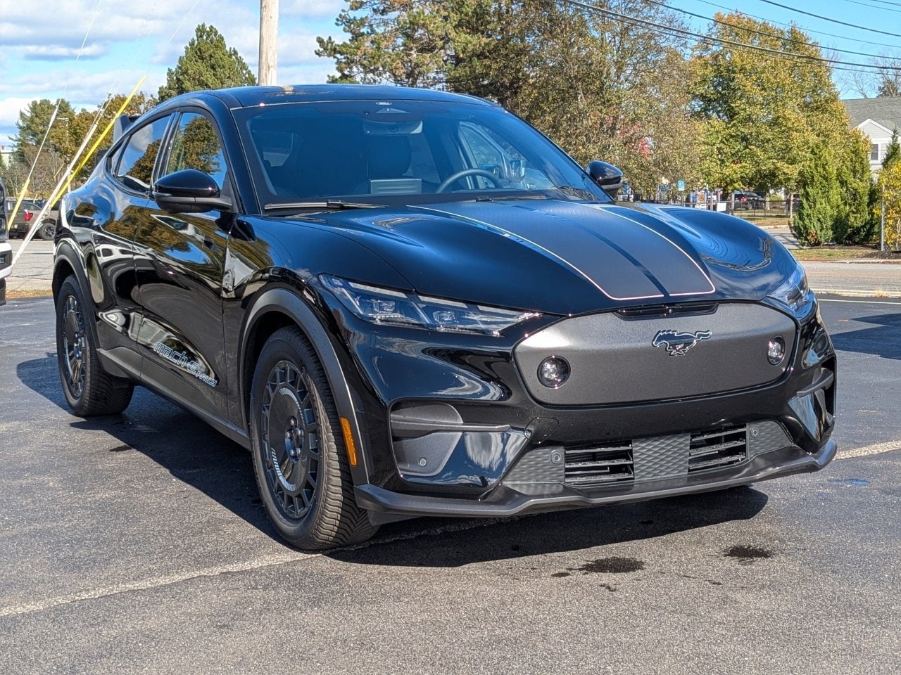 2025 Ford Mustang Mach-E GT AWD's photo
