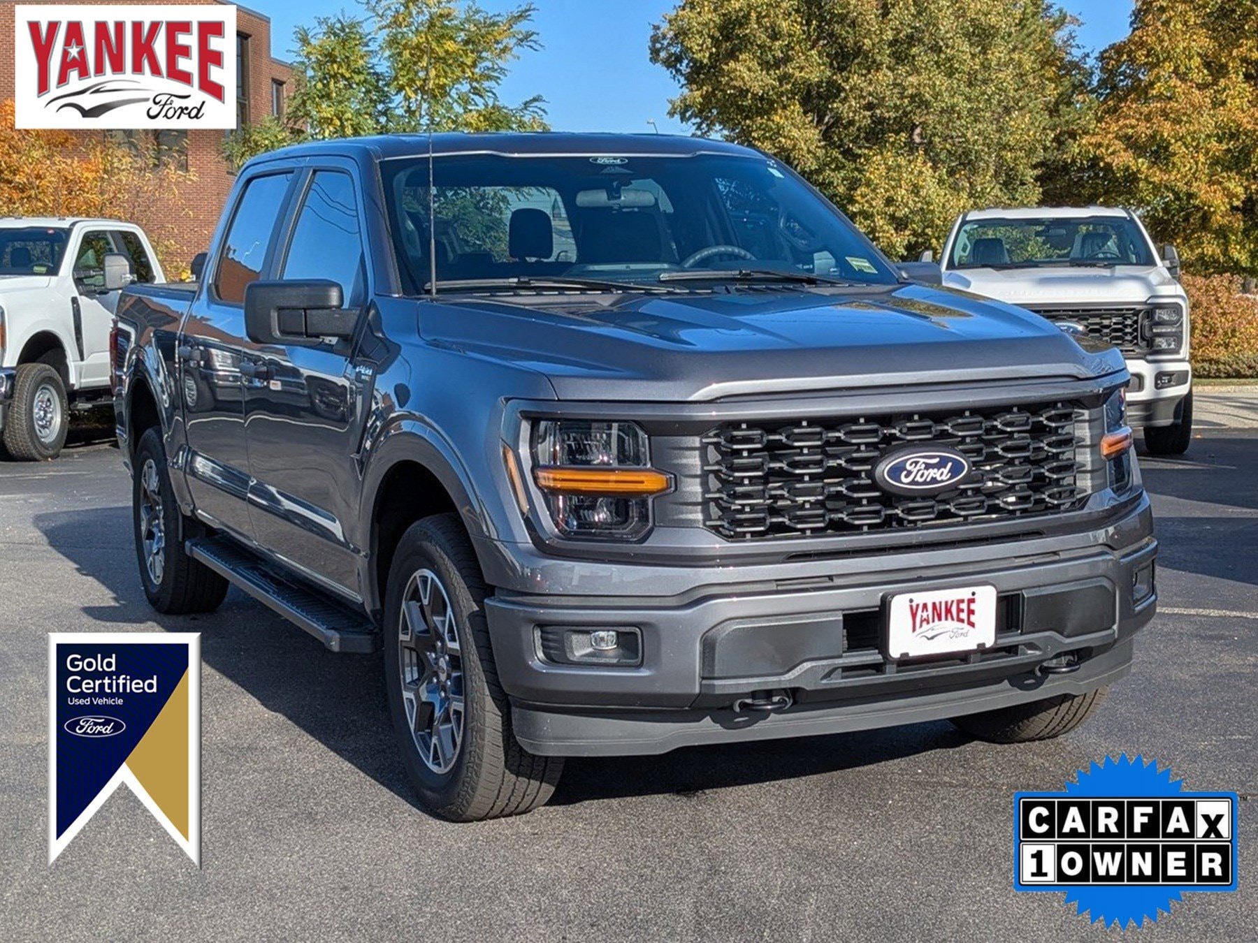 2024 Ford F-150 STX's photo