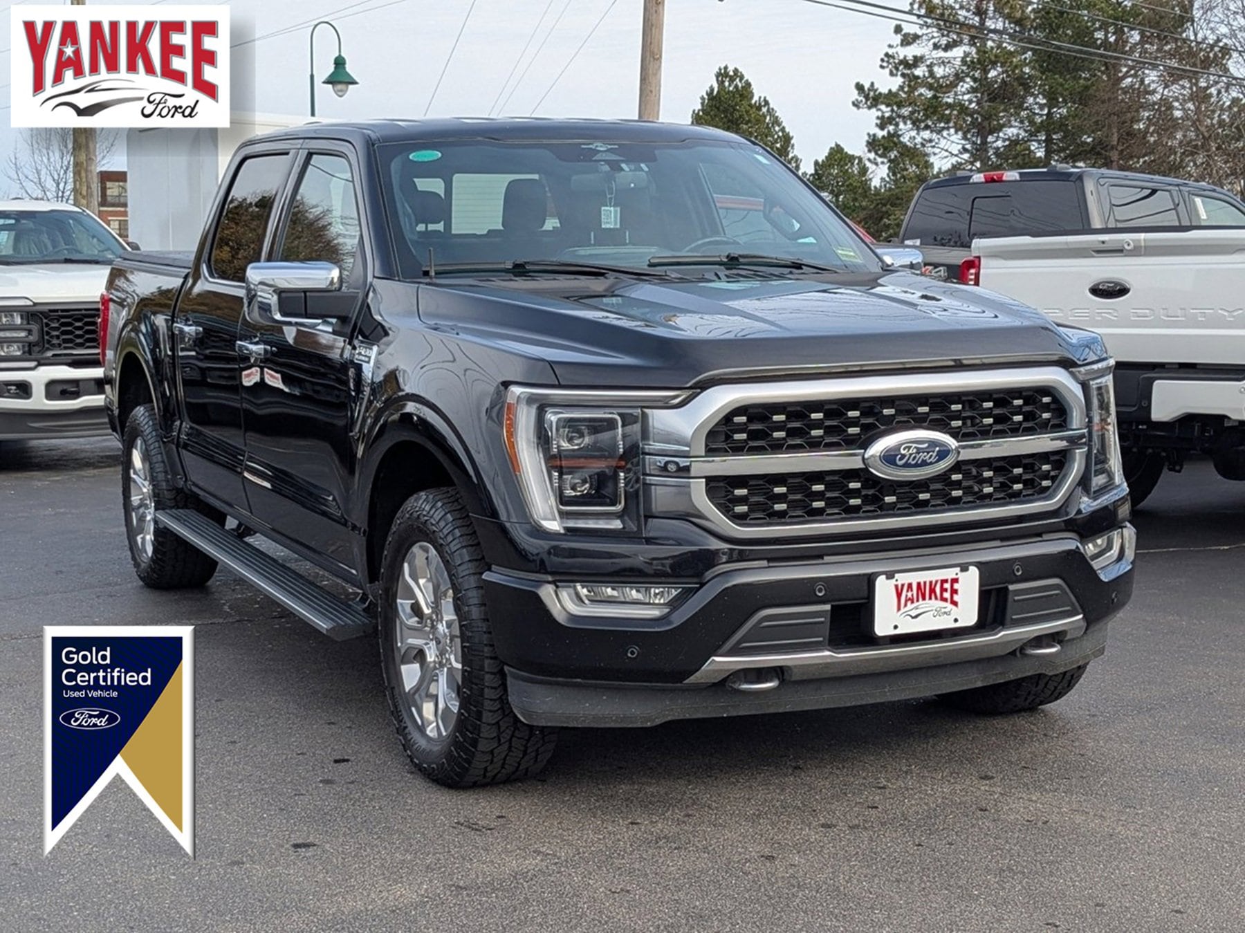 2023 Ford F-150 Platinum's photo